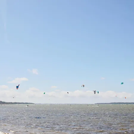 Surfer S Paradise Wiek Lee